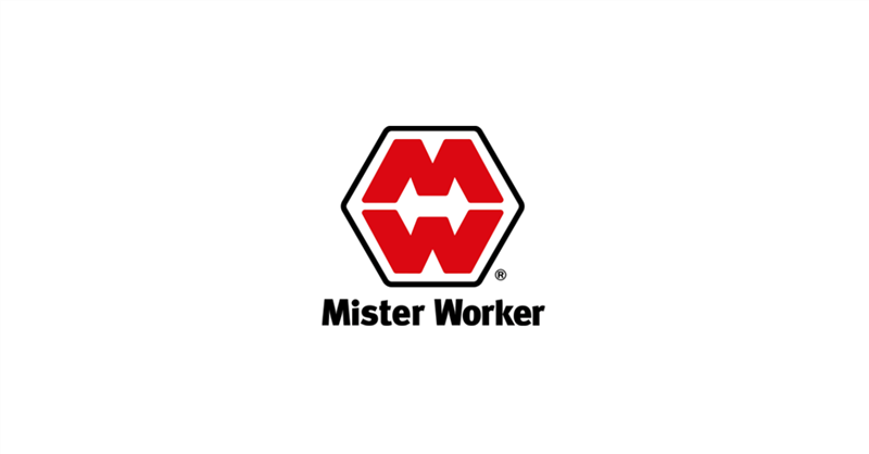 Mister Worker