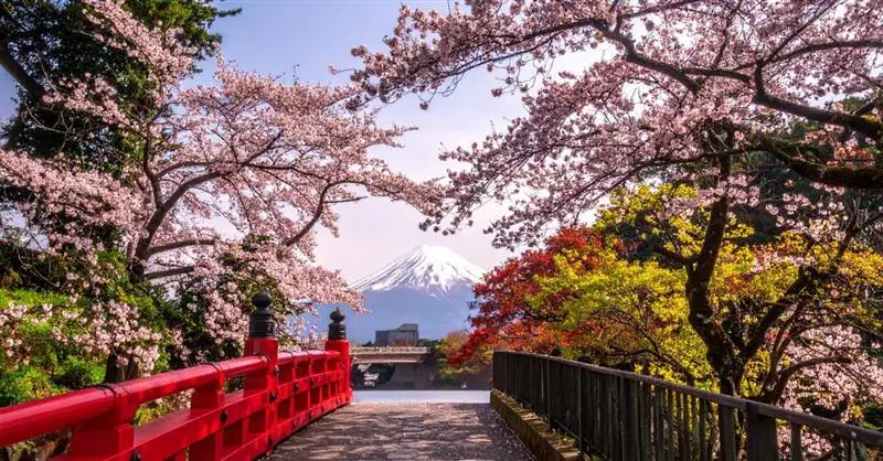 Lombardy and Japan: Innovation and Business Collaboration Event